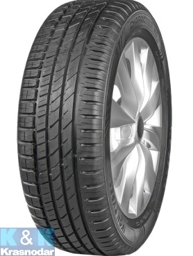 Автошина IKON Character Eco 205/55 R16 91H